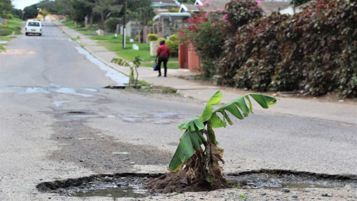 Malaysia: Man plants tree in pothole
