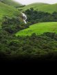 Western Ghats Forests