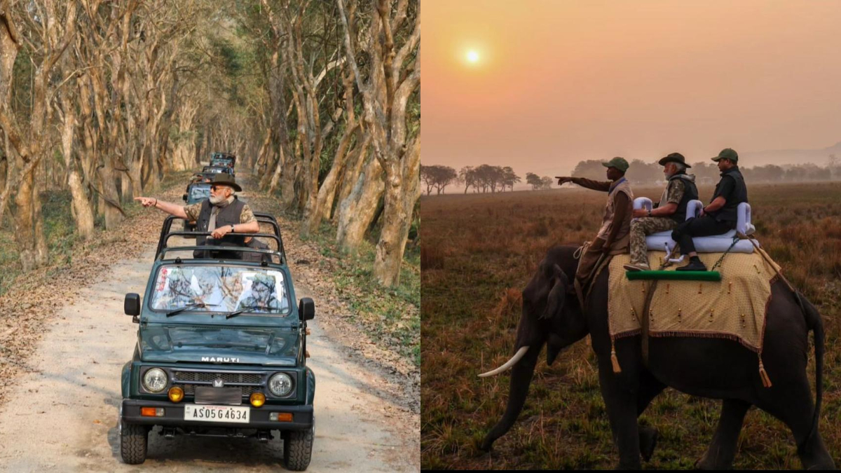 PM Modi Takes 'Jeep And Elephant Safari' At Kaziranga National Park In Assam