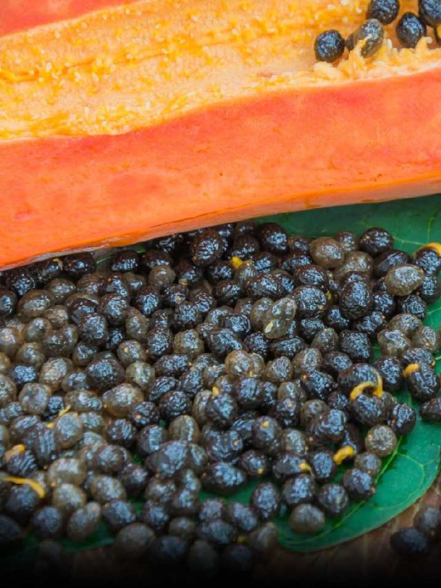 7 Amazing Health Benefits Of Papaya Seeds - News24