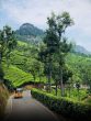 coonoor