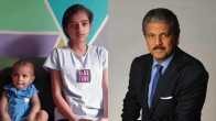 Anand Mahindra UP Monkey Story