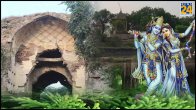 Ancient Forest Rejuvenation Project in Vrindavan