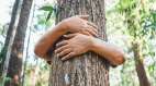 Bengaluru Tree Hug