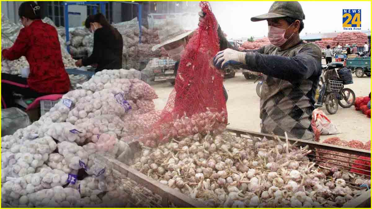 Security Heightened As Chinese Garlic Being Smuggled To India