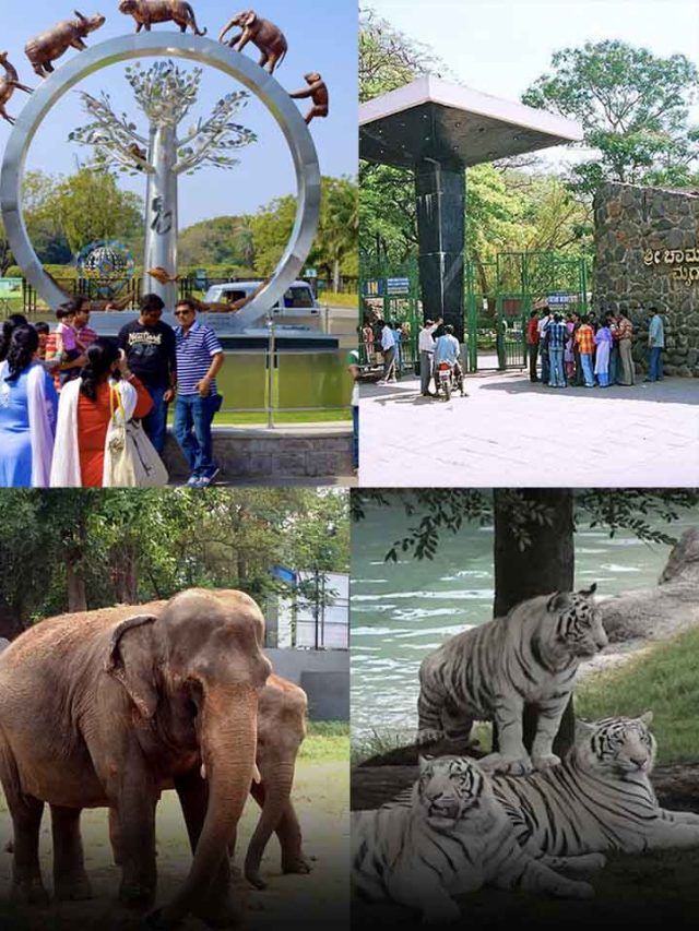 7 Must Visit Zoological Parks In India - News24