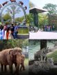 7 Must Visit Zoological Parks In India