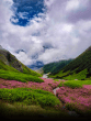 Valley of Flowers, Uttarakhand