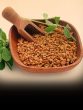 fenugreek