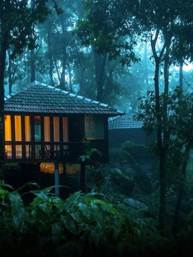 Best Wildlife Resorts In India For A Thrilling Experience