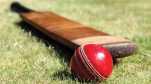 11-year-old dies after being hit by cricket ball