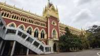 Calcutta HC grant bail to student leader, involved in RG Kar hospital protest