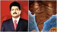 'We Are In Danger'; Pakistani Journalist Hamid Mir Raises Alarm Over 'Akhand Bharat' Map