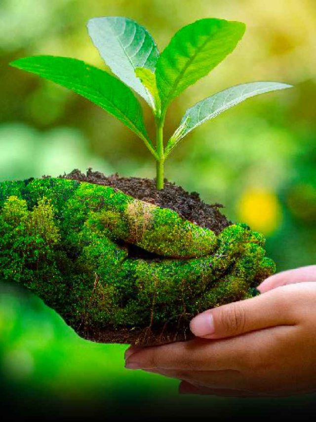 Nutrition Tips For Mental Clarity News24