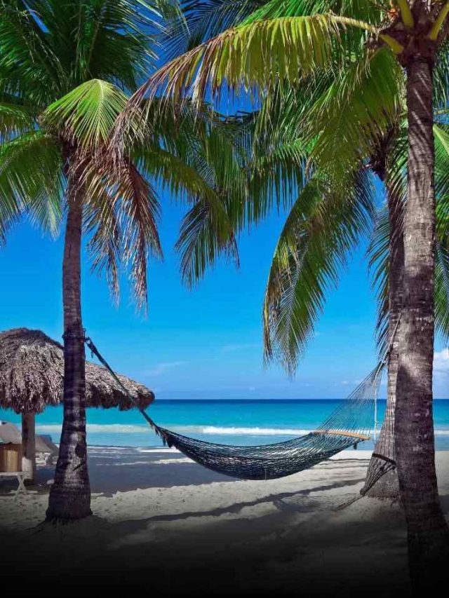 Best Visa Free Beach Destination For Indians