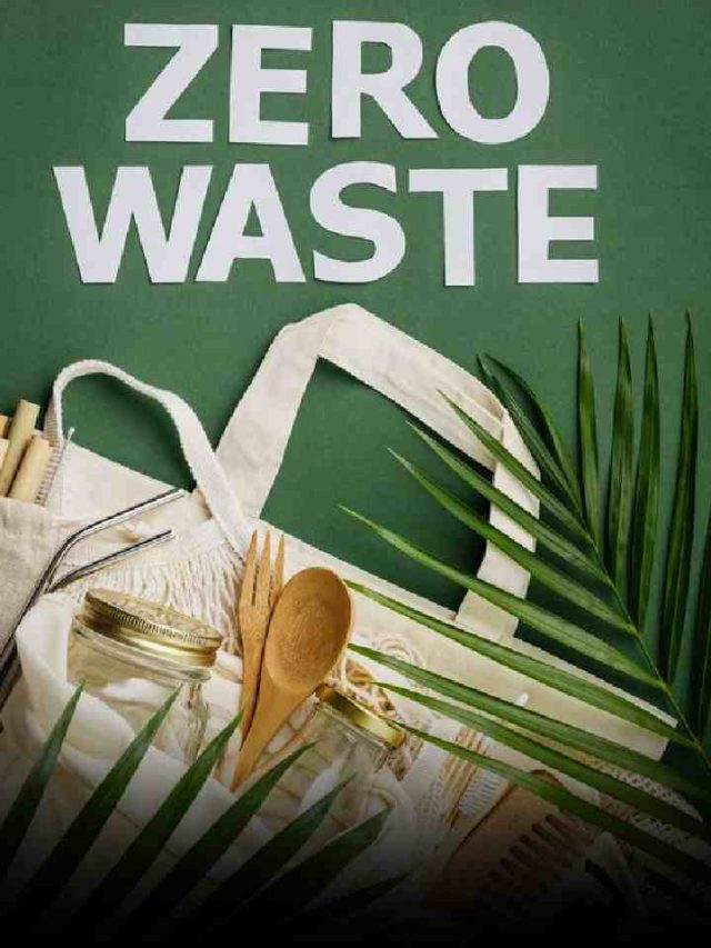 Zero Waste Lifestyle: Tips For Reducing Your Environmental Footprint