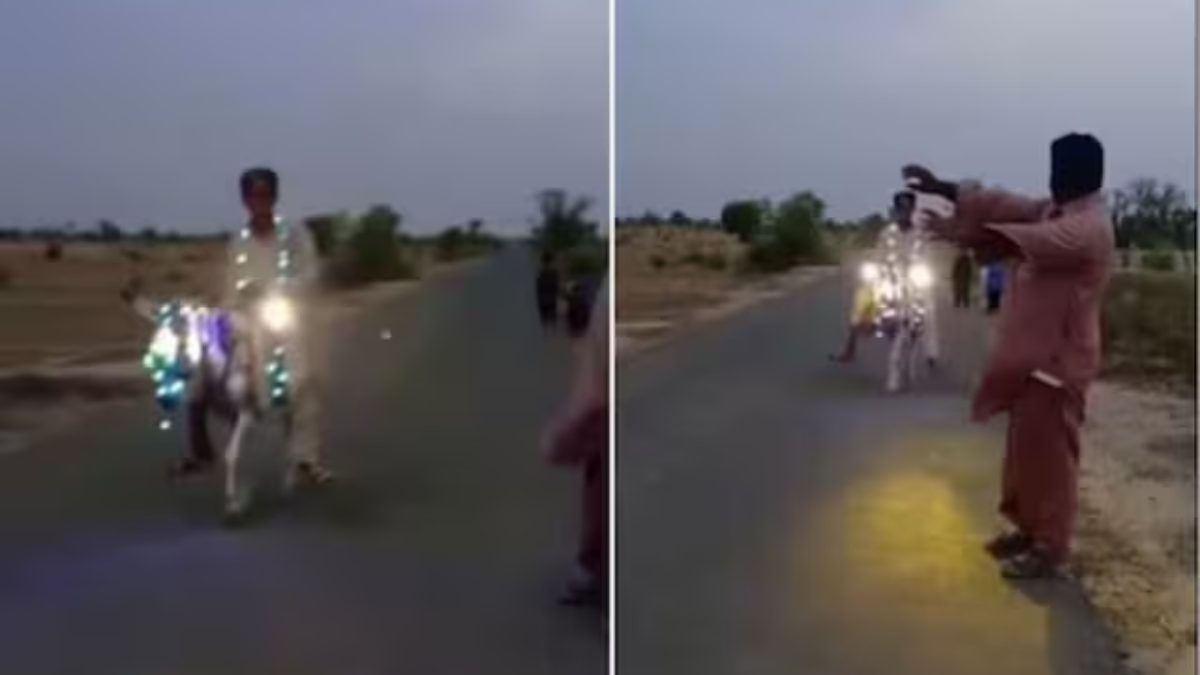 A viral video features a boy riding a donkey adorned with lights to the tune of Imran Khan's 'Amplifier'.
