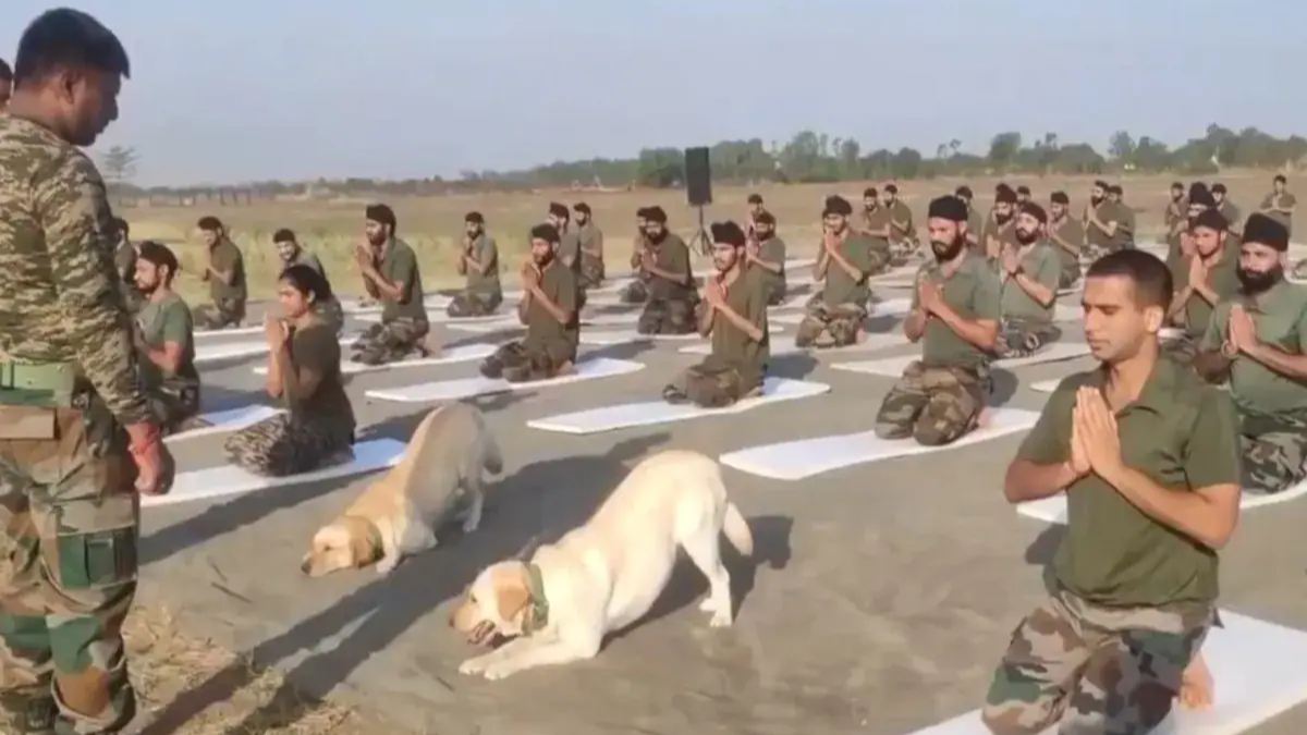 Army dogs participate in yoga with security personnel, showcasing agility in challenging terrains during International Yoga Day celebrations.