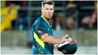 David Warner Australia