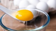 Discover the nutritional benefits of egg yolk