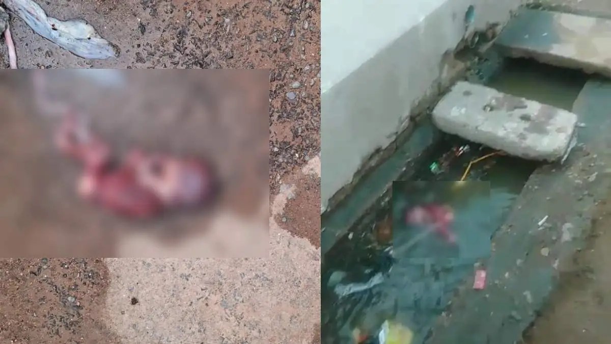 Gwalior: One-Day-Old Newborn Thrown In Drain By Mother