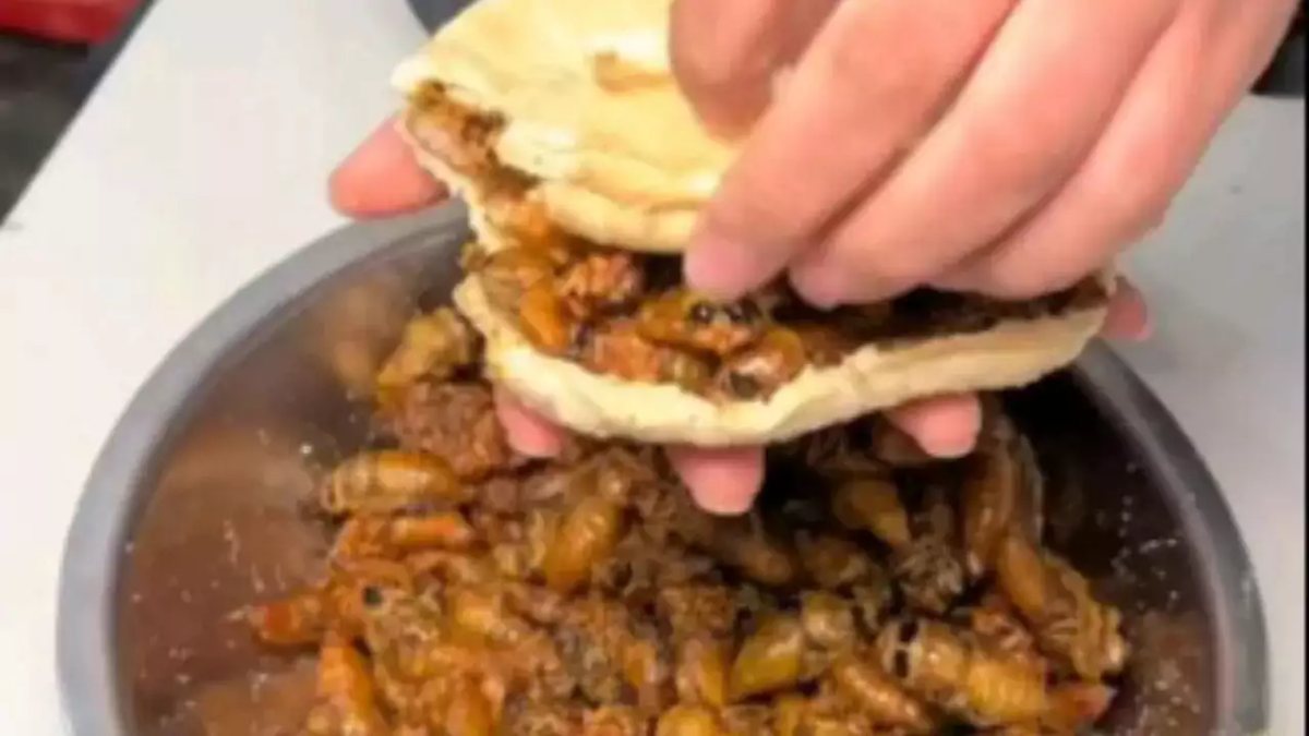 Man Enjoying Chinese Burger Stuffed with 'Insects'