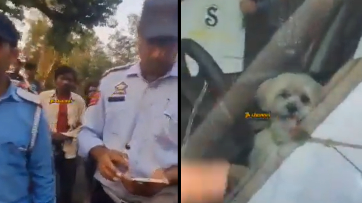 Man criticizes traffic police for slapping his pet dog