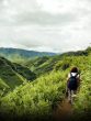 Dzukou Valley Trek