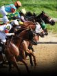 The Preakness Stakes..