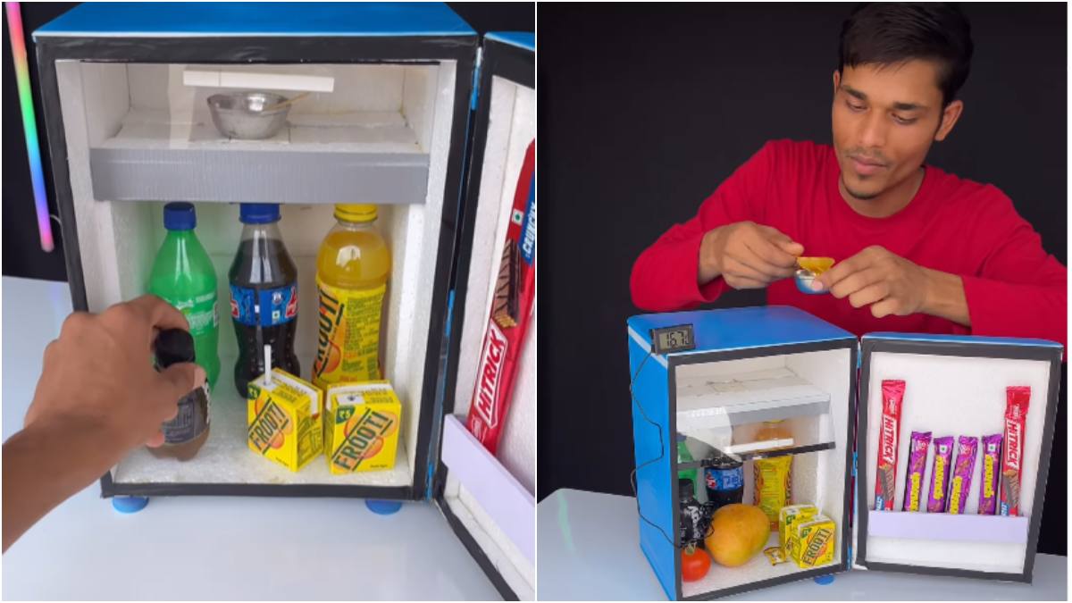 DIY Mini Fridge