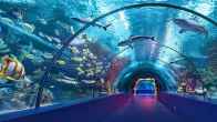 Dubai-Singapore Like Experience In UP_ First City To Have Fish Tunnel, Visit Charges Almost Free