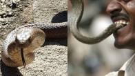 Man Bite Snake in Bihar