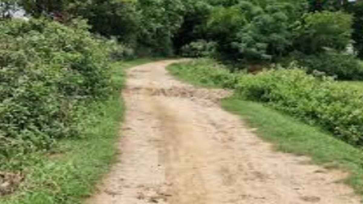 Monsoon Forces Jharkhand Residents To Construct Road Without Government Support