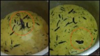 Rat found In Hostel Food In Hyderabad