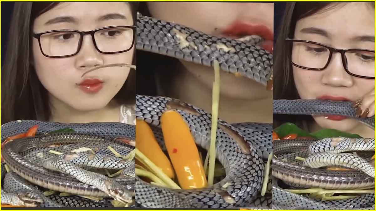 Woman Chews Snake Like A Carrot, Internet Reacts