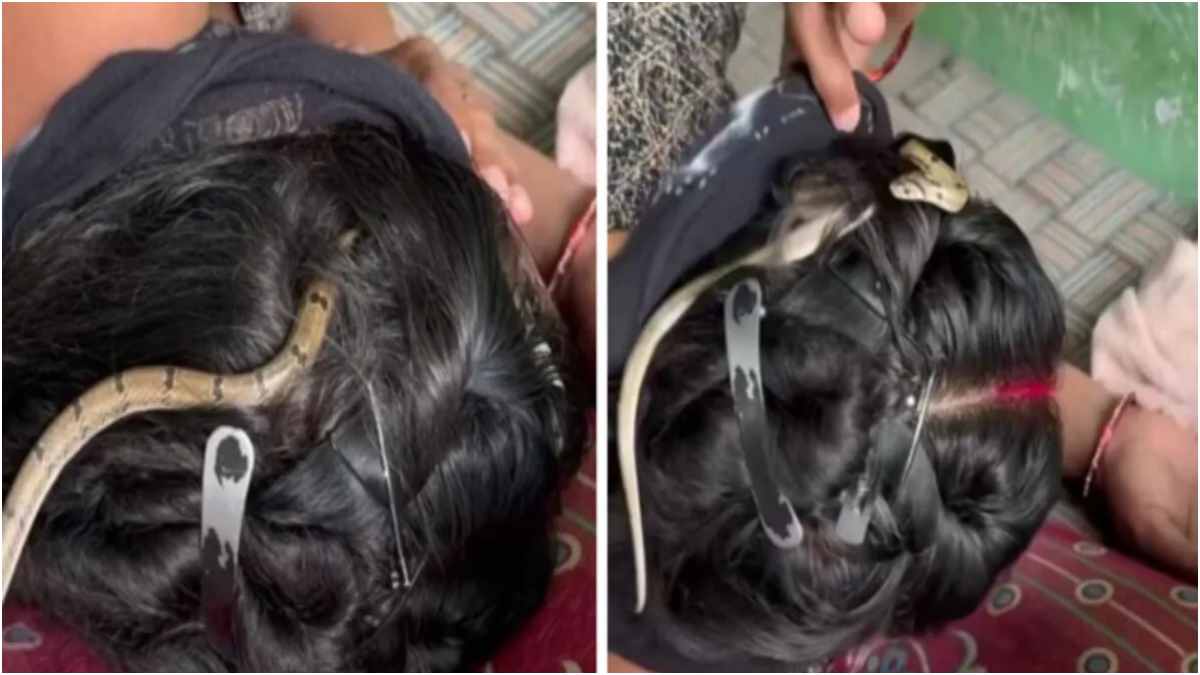 viral video shows a snake in a woman’s hair while she sleeps, sparking social media reactions and attention.