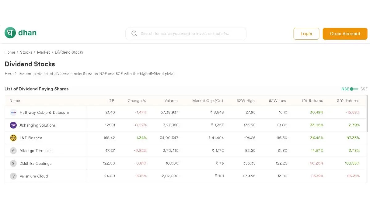 Dividend Stock Portfolio