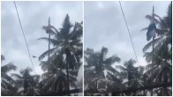 national flag hoisted by Bird in Kerela