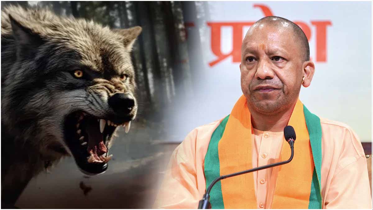 Mayhem In UP: Wolf Kills 3-Year-Old Girl, Mauls 2 Women, Govt Issues Advisory