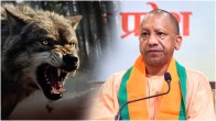 Mayhem In UP: Wolf Kills 3-Year-Old Girl, Mauls 2 Women, Govt Issues Advisory