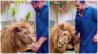 Pakistani Man Walking With Lion Leaves Internet Stunned | WATCH