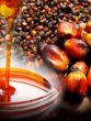 palm oil