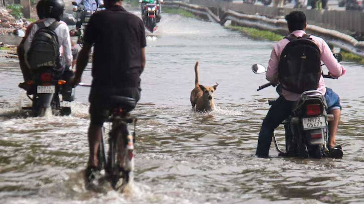 cyclonic disturbances, to form in the coming week—one over the Arabian Sea