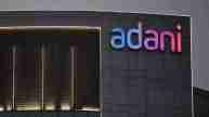 Adani business