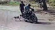 Dog Dragged By Leash