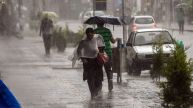 IMD Weather Update: Heavy Rain To Lash Karnataka, Tamil Nadu; Delhi’s AQI Remains Very Poor