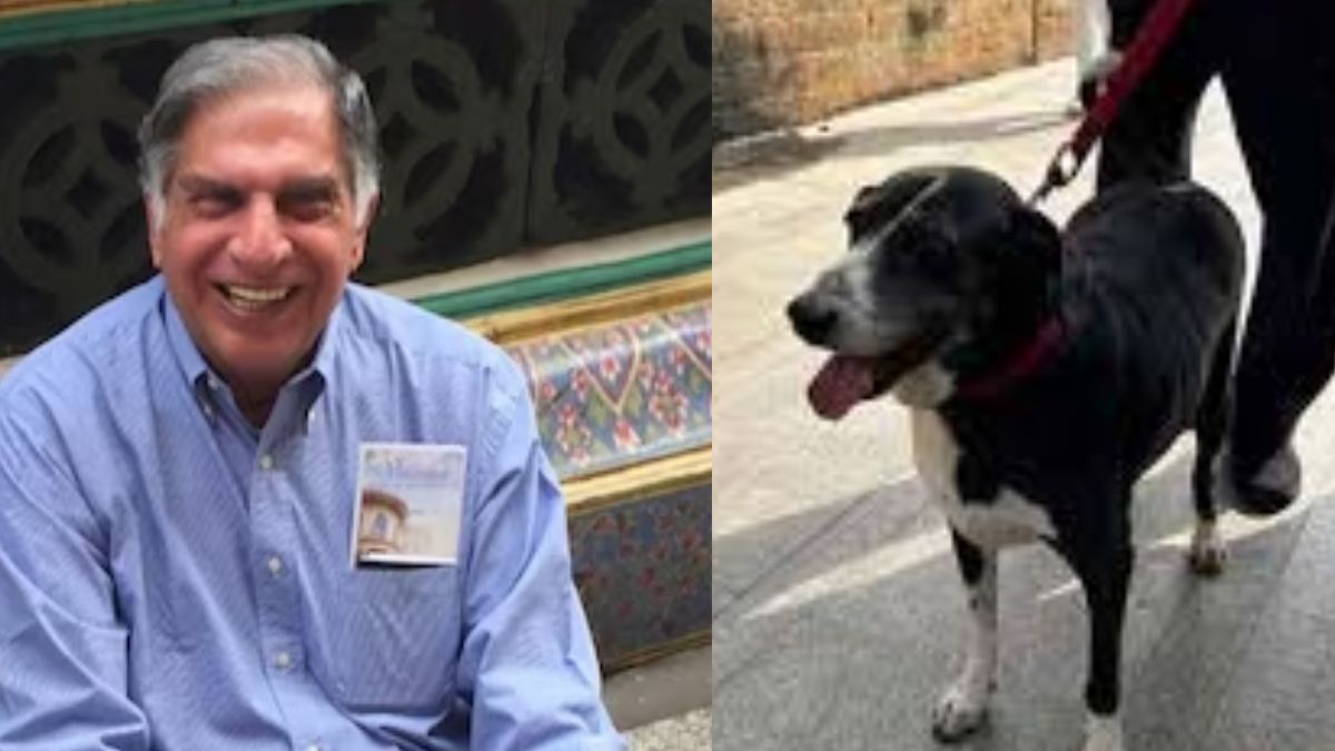 Is Ratan Tata’s Dog Goa Dead? Mumbai Cop REVEALS The Truth Behind WhatsApp Message