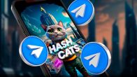 HashCats Daily Combo November 17, 2024: Unlock Big Rewards And Boost Your Mining Empire!