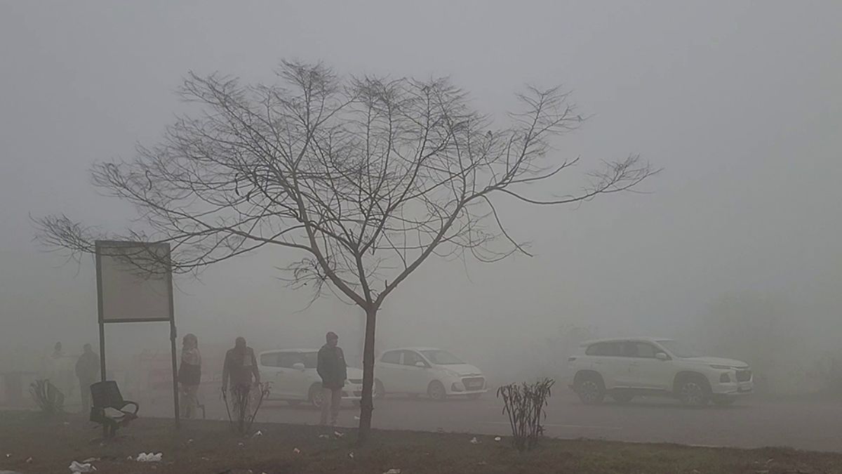 IMD Weather Update: Rainfall Alert For Kerala, Tamil Nadu! Dense Fog In UP, Punjab; Delhi’s AQI ‘Very Poor’