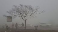 IMD Weather Update: Rainfall Alert For Kerala, Tamil Nadu! Dense Fog In UP, Punjab; Delhi’s AQI ‘Very Poor’